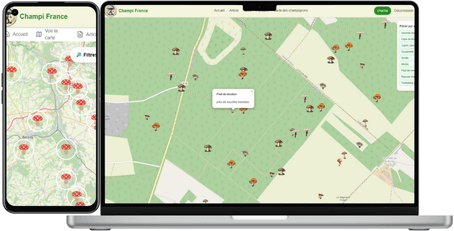 Carte interactive des meilleurs spots de cueillette de champignons en France